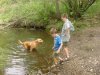 boys & bailey in pond.jpg